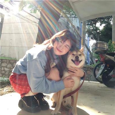 印花龙